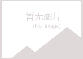 桃山区伤口工程有限公司